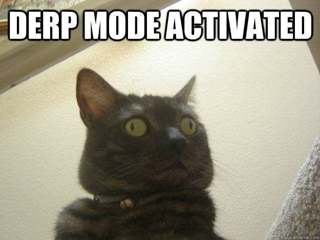 Derp Mode Activated   Derp Cat