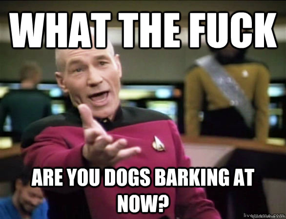 what the fuck are you dogs barking at now?  Annoyed Picard HD