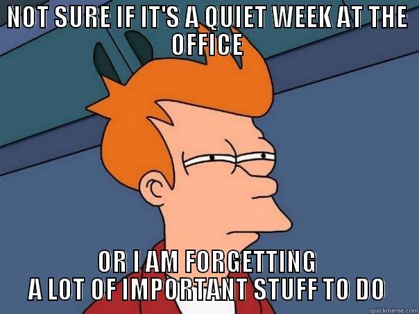 Creating this meme at the office says it all - NOT SURE IF IT'S A QUIET WEEK AT THE OFFICE OR I AM FORGETTING A LOT OF IMPORTANT STUFF TO DO Futurama Fry