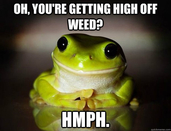 Oh, you're getting high off weed? Hmph. - Oh, you're getting high off weed? Hmph.  Fascinated Frog