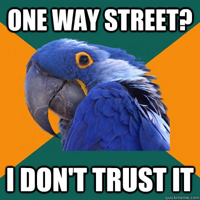 one way street? i don't trust it  Paranoid Parrot