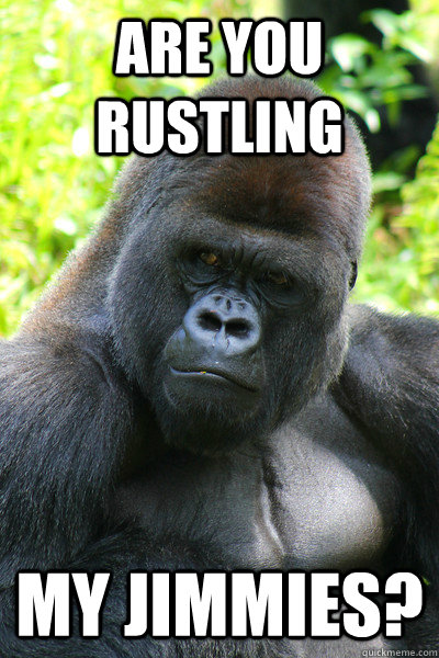 are you rustling  My jimmies?  - are you rustling  My jimmies?   Questioning Gorilla