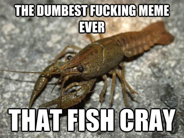 THE DUMBEST FUCKING MEME EVER that fish cray  that fish cray
