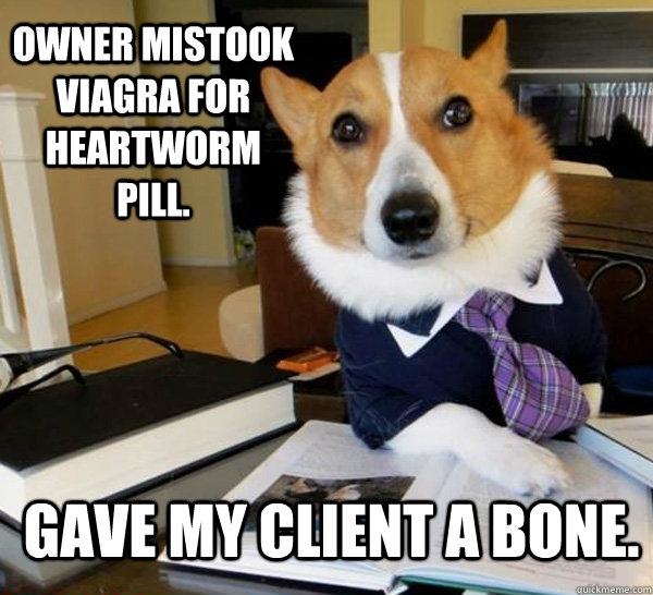 Owner mistook Viagra for Heartworm Pill. Gave my client a bone.  Lawyer Dog
