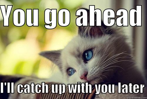 YOU GO AHEAD  I'LL CATCH UP WITH YOU LATER First World Problems Cat