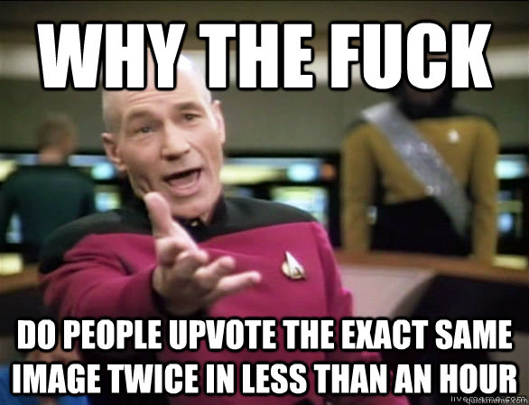 why the fuck Do people upvote the exact same image twice in less than an hour  Annoyed Picard HD