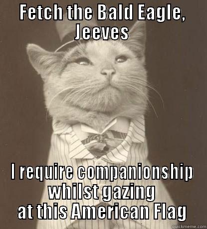 FETCH THE BALD EAGLE, JEEVES I REQUIRE COMPANIONSHIP WHILST GAZING AT THIS AMERICAN FLAG Aristocat