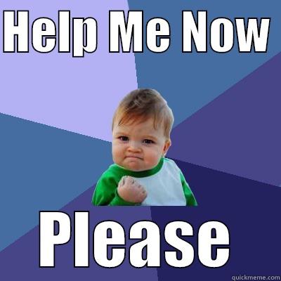 HELP ME NOW  PLEASE Success Kid