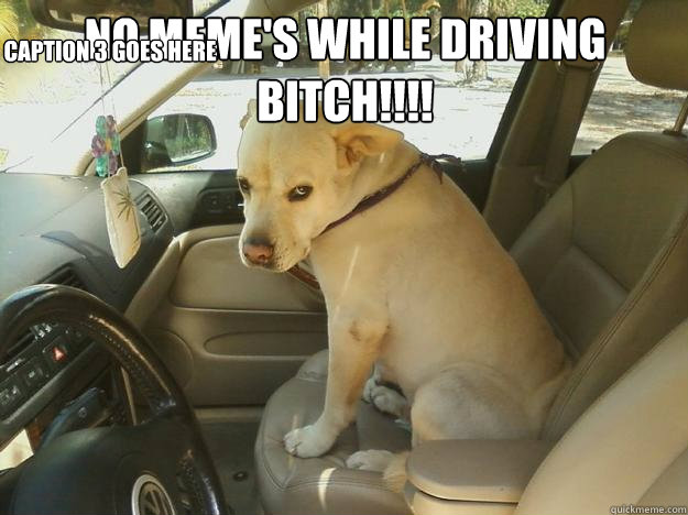 No MEME's While Driving bitch!!!!  Caption 3 goes here - No MEME's While Driving bitch!!!!  Caption 3 goes here  The Dog Look