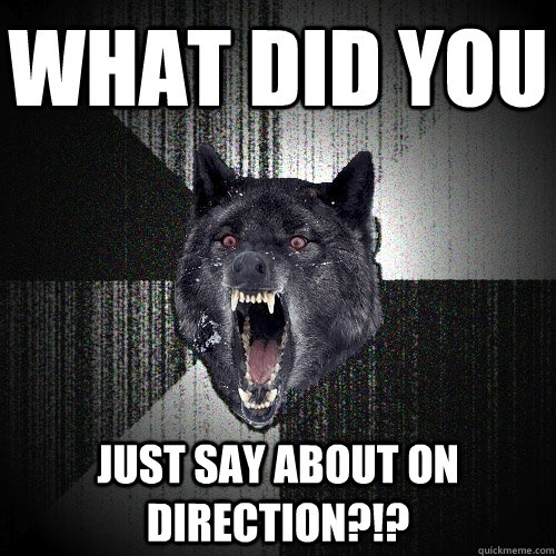 What Did You  just say about on direction?!?  Insanity Wolf