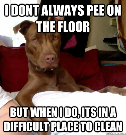 I dont always pee on the floor but when i do, its in a difficult place to clean  
