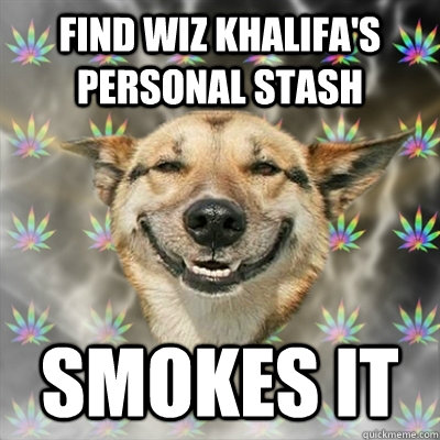 Find Wiz Khalifa's personal stash Smokes IT  Stoner Dog