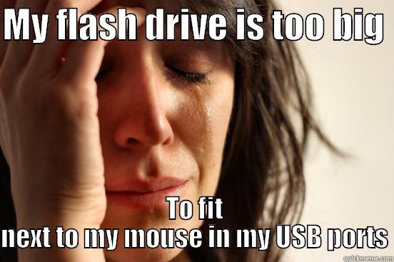 MY FLASH DRIVE IS TOO BIG  TO FIT NEXT TO MY MOUSE IN MY USB PORTS First World Problems
