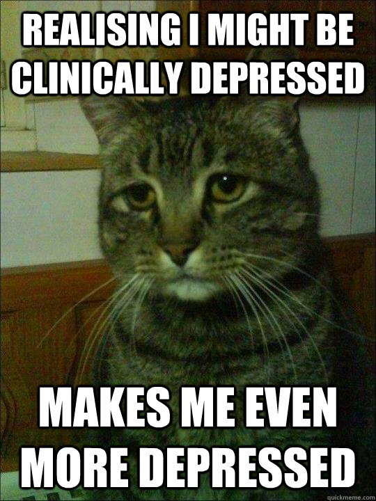 Realising I might be clinically depressed Makes me even more depressed  Depressed cat