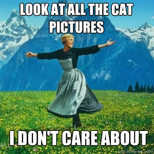 Look at all the cat pictures I don't care about  And look at all the fucks Igive