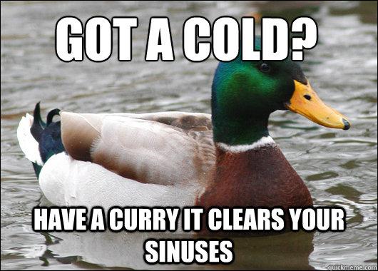 got a cold? have a curry it clears your sinuses  Actual Advice Mallard