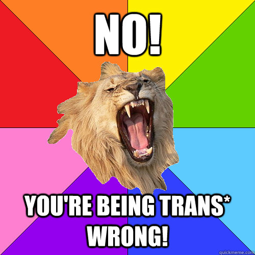 No! You're being trans* wrong!  Queer-on-Queer Hate Lion