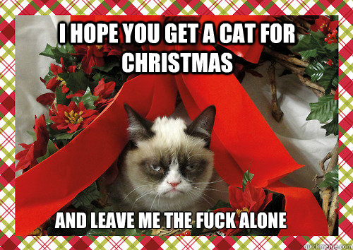 I hope you get a cat for christmas and leave me the fuck alone - I hope you get a cat for christmas and leave me the fuck alone  merry christmas