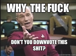 Why  the fuck Don't you downvote this shit?  Annoyed Picard