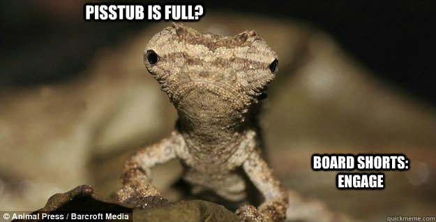 PISSTUB IS FULL? BOARD SHORTS: ENGAGE - PISSTUB IS FULL? BOARD SHORTS: ENGAGE  Misc