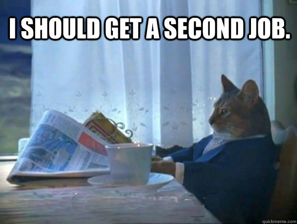 I should get a second job.   morning realization newspaper cat meme