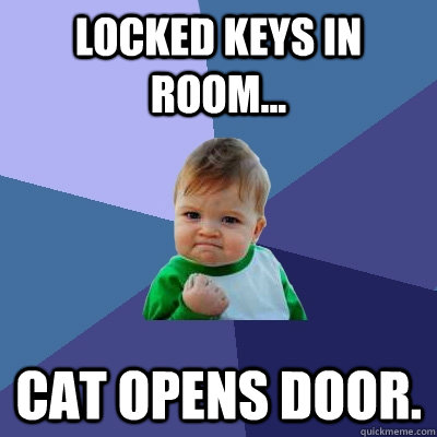 Locked keys in room... Cat opens door.   Success Kid
