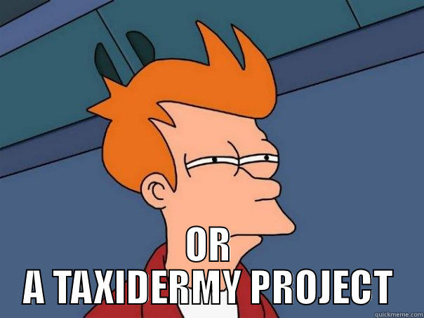  OR A TAXIDERMY PROJECT Futurama Fry