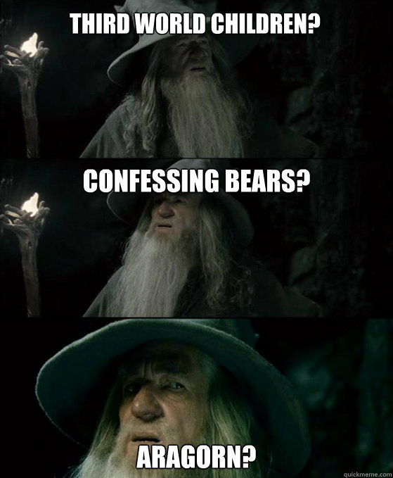 Third world children? Confessing bears?







Aragorn?  Confused Gandalf