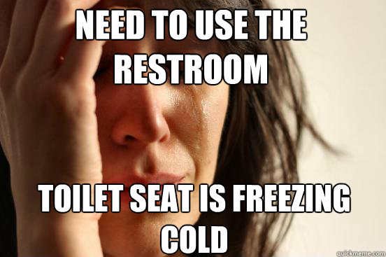 NEED TO USE THE RESTROOM TOILET SEAT IS FREEZING COLD  First World Problems