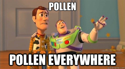 Pollen pollen everywhere - Pollen pollen everywhere  Hunger Games Premiere