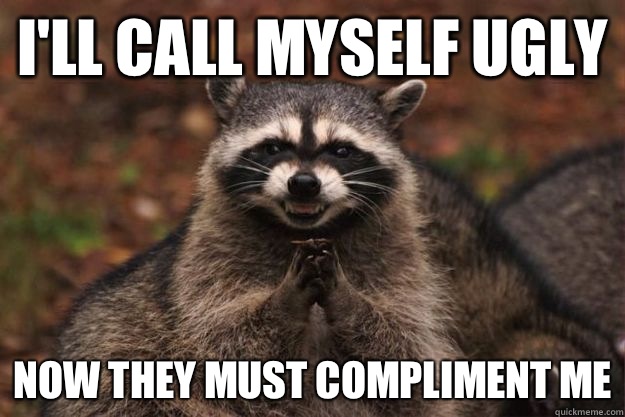 I'll call myself ugly Now they must compliment me  Evil Plotting Raccoon