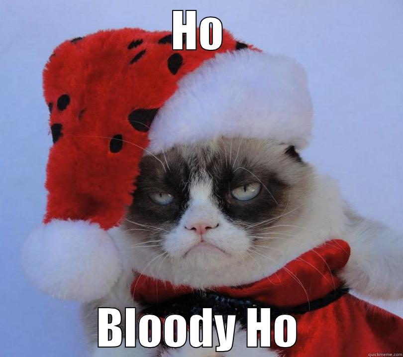 HO BLOODY HO Misc