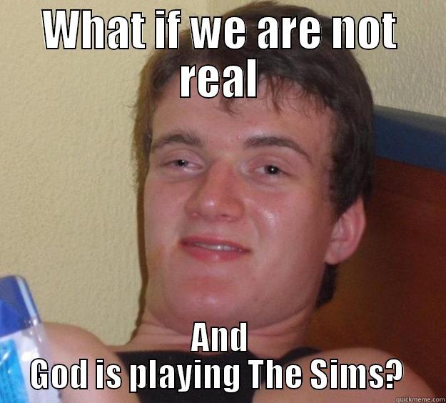 WHAT IF WE ARE NOT REAL AND GOD IS PLAYING THE SIMS?  10 Guy