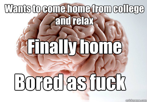 Wants to come home from college and relax Bored as fuck Finally home  Scumbag Brain