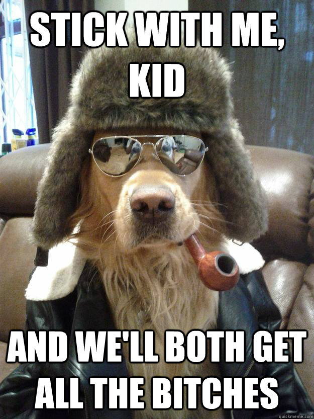 Stick with me, kid And we'll both get all the bitches  Overly Suave Dog