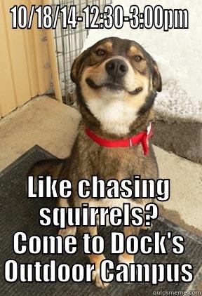 10/18/14-12:30-3:00PM LIKE CHASING SQUIRRELS? COME TO DOCK'S OUTDOOR CAMPUS Good Dog Greg