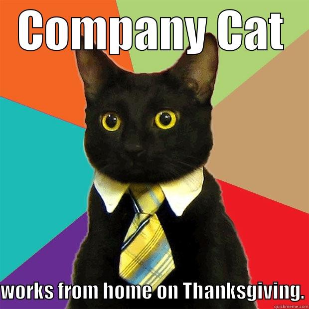 COMPANY CAT WORKS FROM HOME ON THANKSGIVING. Business Cat