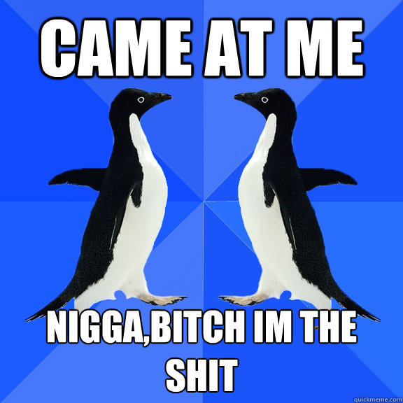 came at me  nigga,bitch im the shit  Dancing penguins