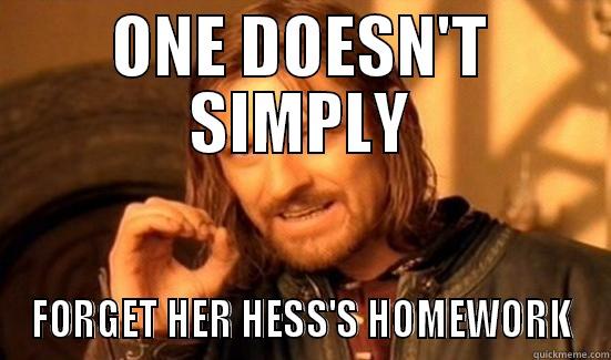 ONE DOESN'T SIMPLY FORGET HER HESS'S HOMEWORK Boromir