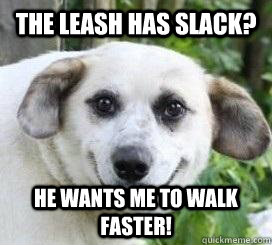 the Leash has slack? he wants me to walk faster! - the Leash has slack? he wants me to walk faster!  Derb faced dog
