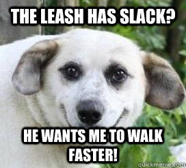 the Leash has slack? he wants me to walk faster!  