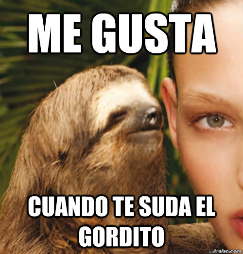 Me Gusta cuando te suda el gordito  rape sloth