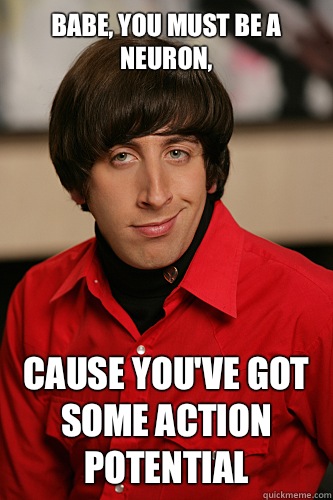Babe, you must be a neuron, Cause you've got some action potential - Babe, you must be a neuron, Cause you've got some action potential  Howard Wolowitz