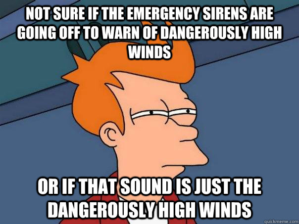Not sure if the emergency sirens are going off to warn of dangerously high winds Or if that sound is just the dangerously high winds  Futurama Fry