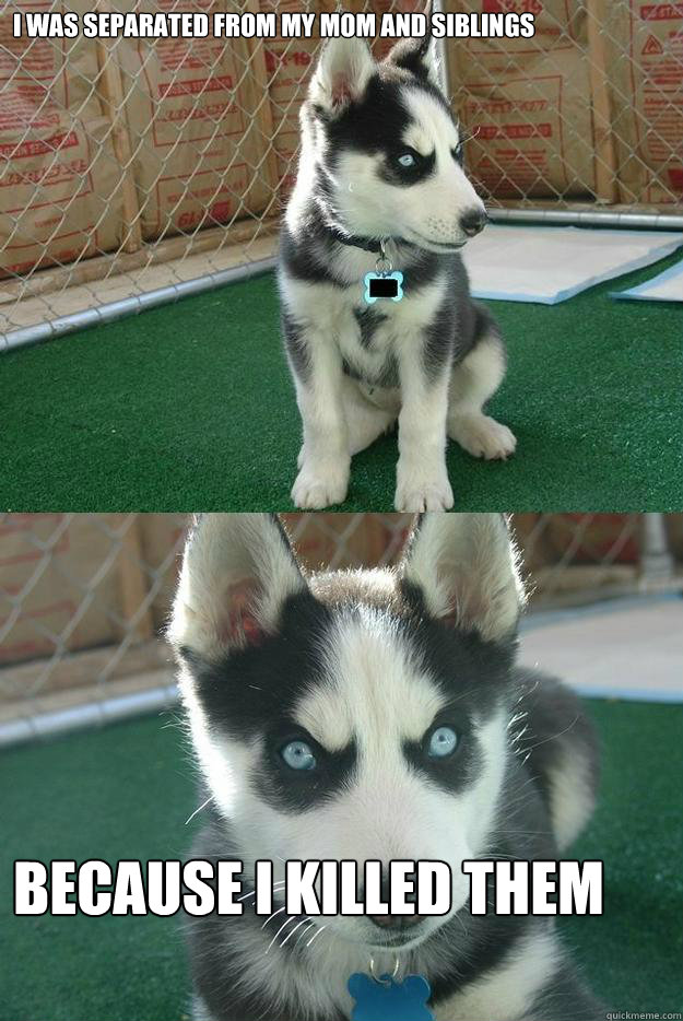 I was separated from my mom and siblings BECAUSE I KILLED THEM  Insanity puppy