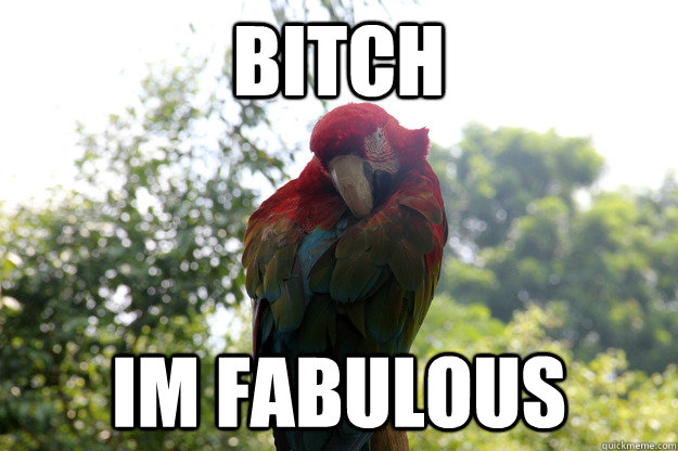 bitch Im fabulous - bitch Im fabulous  Fabulous Bird being Fabulous