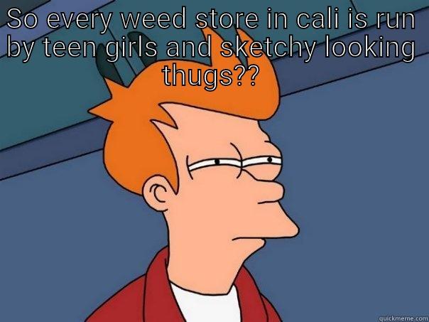 SO EVERY WEED STORE IN CALI IS RUN BY TEEN GIRLS AND SKETCHY LOOKING THUGS??  Futurama Fry