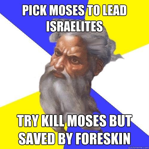 Pick moses to lead Israelites Try kill moses but saved by foreskin   Advice God