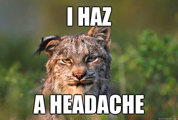 I haz a headache  Hangover Cat