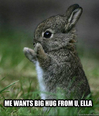 me wants big hug from u, ella  Cute bunny